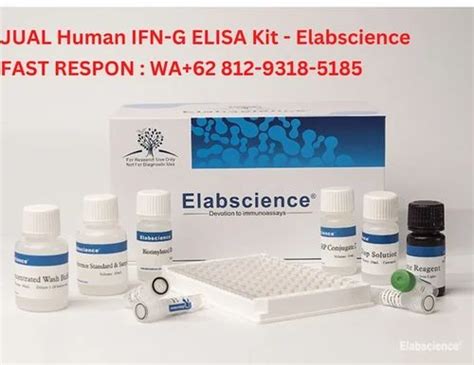 rat il-8 elisa kit|mouse il 8 elisa kit.